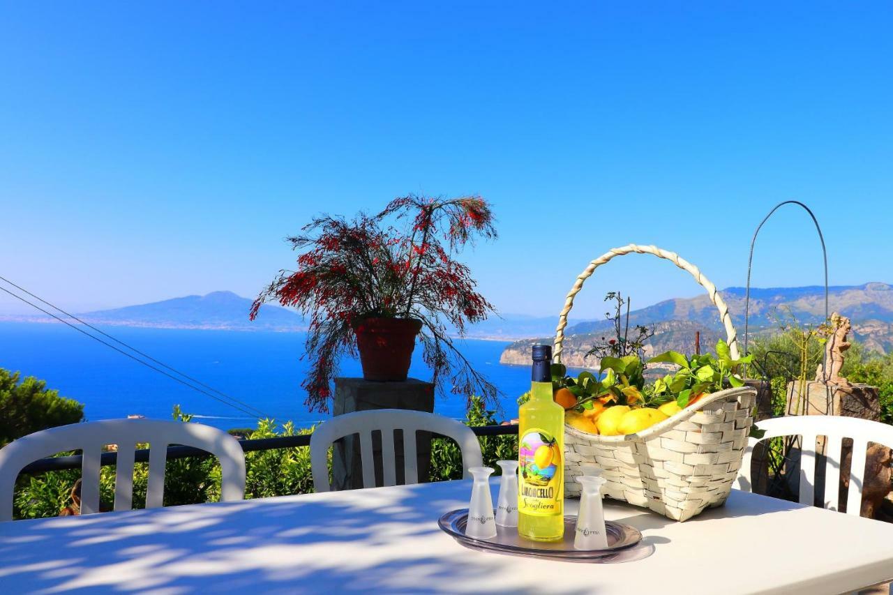 La Rosa Del Sud - De Vivo Realty Sorrento Lejlighed Eksteriør billede