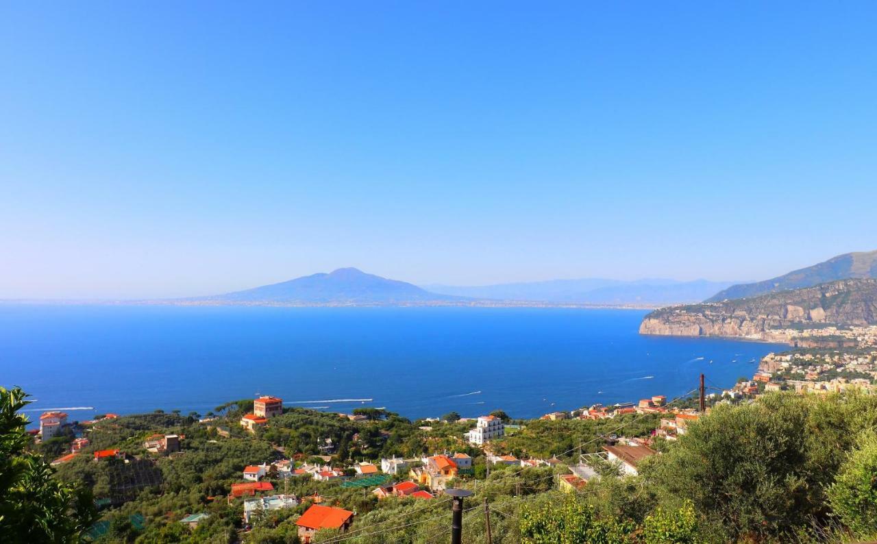 La Rosa Del Sud - De Vivo Realty Sorrento Lejlighed Eksteriør billede